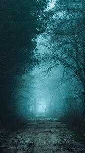 Preview wallpaper forest, fog, road, silhouette, gloom