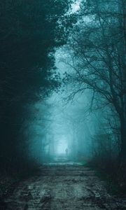 Preview wallpaper forest, fog, road, silhouette, gloom