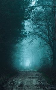 Preview wallpaper forest, fog, road, silhouette, gloom