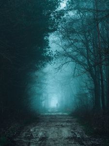 Preview wallpaper forest, fog, road, silhouette, gloom