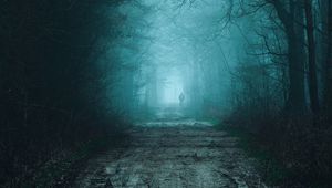 Preview wallpaper forest, fog, road, silhouette, gloom