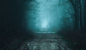 Preview wallpaper forest, fog, road, silhouette, gloom