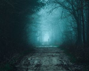 Preview wallpaper forest, fog, road, silhouette, gloom