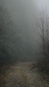 Preview wallpaper forest, fog, road, turn, nature