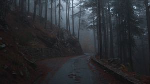 Preview wallpaper forest, fog, road, slope, trees