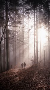 Preview wallpaper forest, fog, silhouettes, walk, autumn, couple