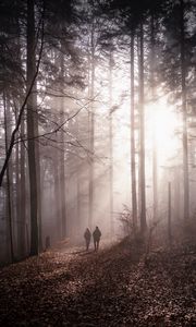 Preview wallpaper forest, fog, silhouettes, walk, autumn, couple