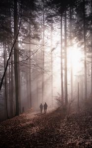 Preview wallpaper forest, fog, silhouettes, walk, autumn, couple