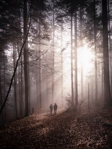 Preview wallpaper forest, fog, silhouettes, walk, autumn, couple