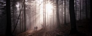 Preview wallpaper forest, fog, silhouettes, walk, autumn, couple