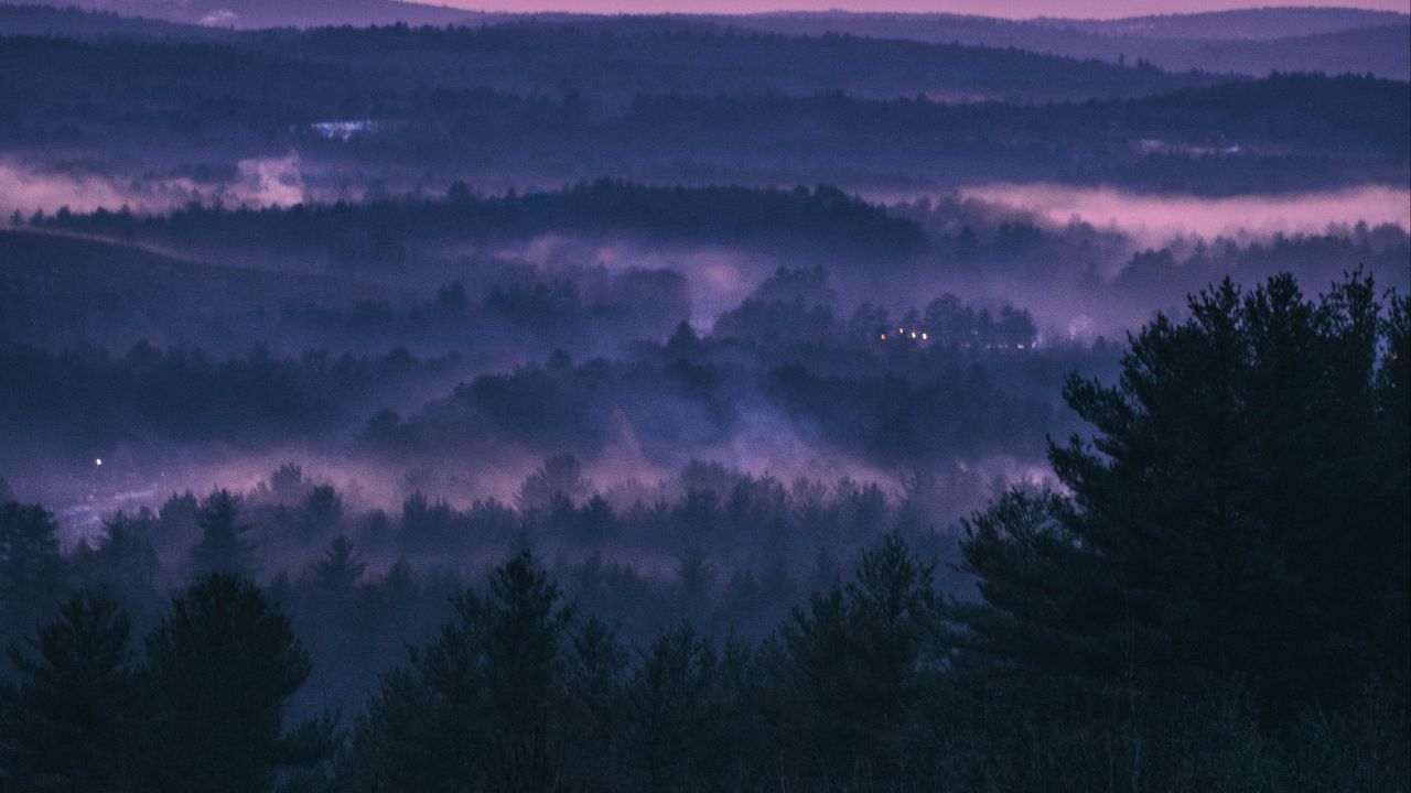 Wallpaper forest, fog, sunset, trees, sky, evening