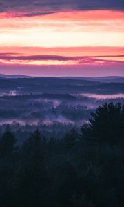 Preview wallpaper forest, fog, sunset, trees, sky, evening