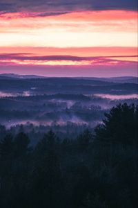 Preview wallpaper forest, fog, sunset, trees, sky, evening