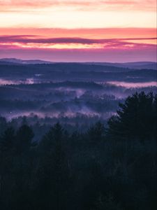 Preview wallpaper forest, fog, sunset, trees, sky, evening