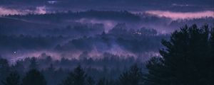 Preview wallpaper forest, fog, sunset, trees, sky, evening