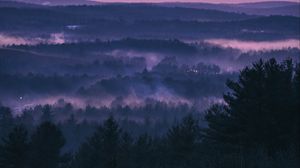 Preview wallpaper forest, fog, sunset, trees, sky, evening