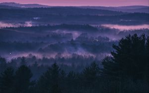 Preview wallpaper forest, fog, sunset, trees, sky, evening