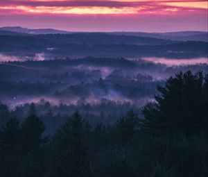 Preview wallpaper forest, fog, sunset, trees, sky, evening