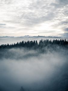 Preview wallpaper forest, fog, trees, landscape, nature, sky