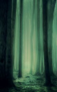 Preview wallpaper forest, fog, trees, dark, gloomy