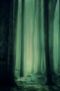 Preview wallpaper forest, fog, trees, dark, gloomy