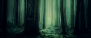 Preview wallpaper forest, fog, trees, dark, gloomy