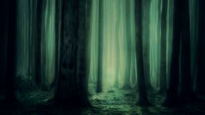 Preview wallpaper forest, fog, trees, dark, gloomy