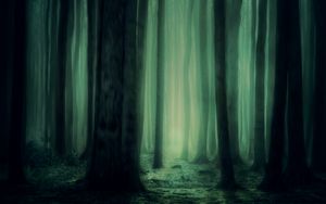 Preview wallpaper forest, fog, trees, dark, gloomy
