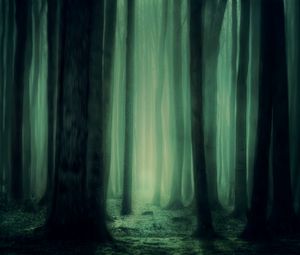 Preview wallpaper forest, fog, trees, dark, gloomy