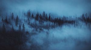 Preview wallpaper forest, fog, trees, dawn