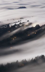 Preview wallpaper forest, fog, trees, shine, aerial view