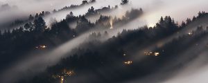 Preview wallpaper forest, fog, trees, shine, aerial view