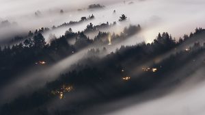 Preview wallpaper forest, fog, trees, shine, aerial view