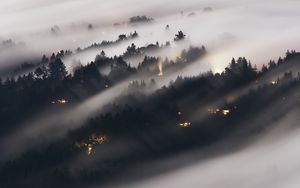 Preview wallpaper forest, fog, trees, shine, aerial view