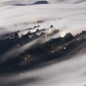 Preview wallpaper forest, fog, trees, shine, aerial view