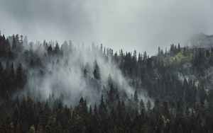 Preview wallpaper forest, fog, trees, mountains, crowns, tops