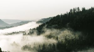 Preview wallpaper forest, fog, trees, hills