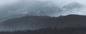Preview wallpaper forest, fog, trees, hills, gloom