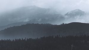 Preview wallpaper forest, fog, trees, hills, gloom