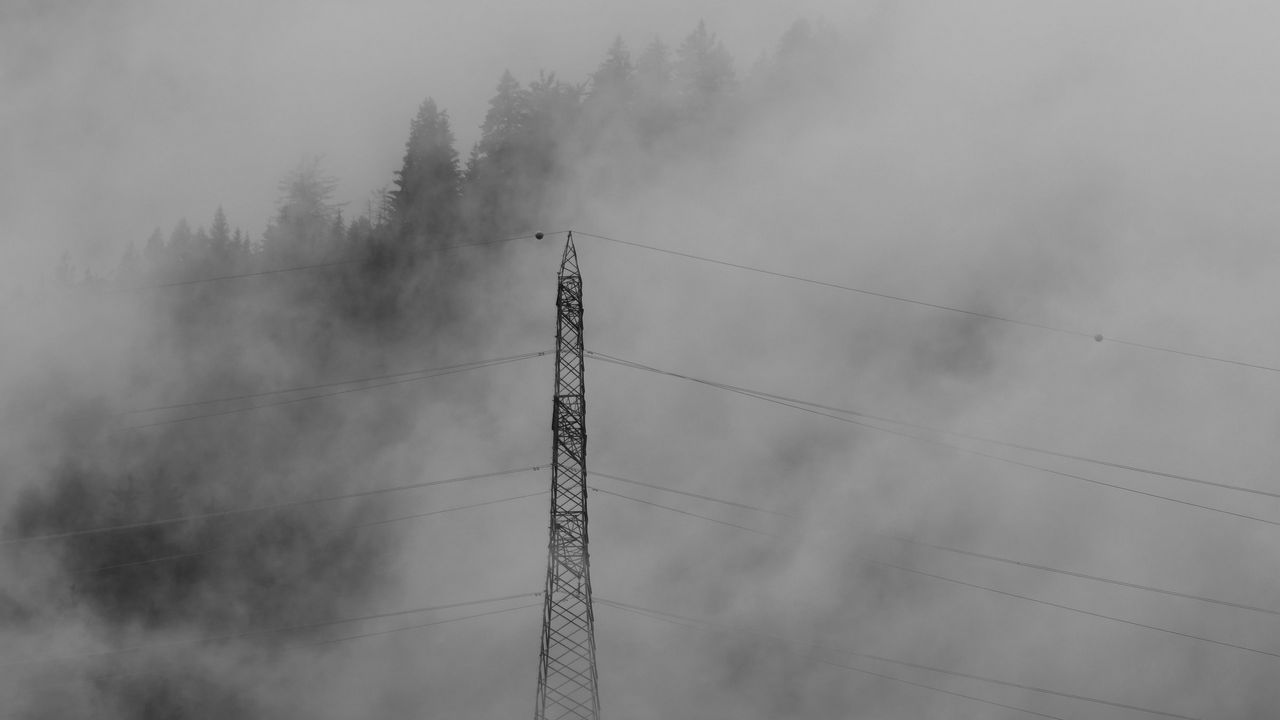 Wallpaper forest, fog, wires, trees, darkness