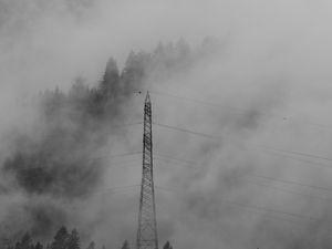 Preview wallpaper forest, fog, wires, trees, darkness