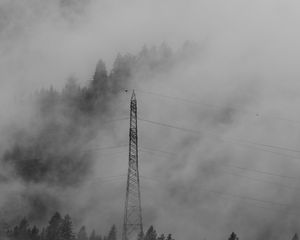 Preview wallpaper forest, fog, wires, trees, darkness