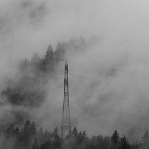 Preview wallpaper forest, fog, wires, trees, darkness