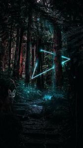 Preview wallpaper forest, fox, light, magic, triangle
