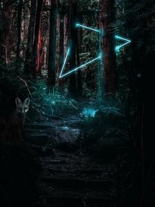 Preview wallpaper forest, fox, light, magic, triangle