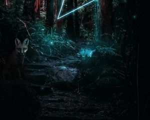 Preview wallpaper forest, fox, light, magic, triangle