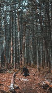 Preview wallpaper forest, girl, loneliness, trees, autumn