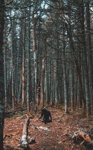 Preview wallpaper forest, girl, loneliness, trees, autumn