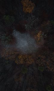 Preview wallpaper forest, glade, trees, aerial view