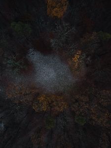 Preview wallpaper forest, glade, trees, aerial view